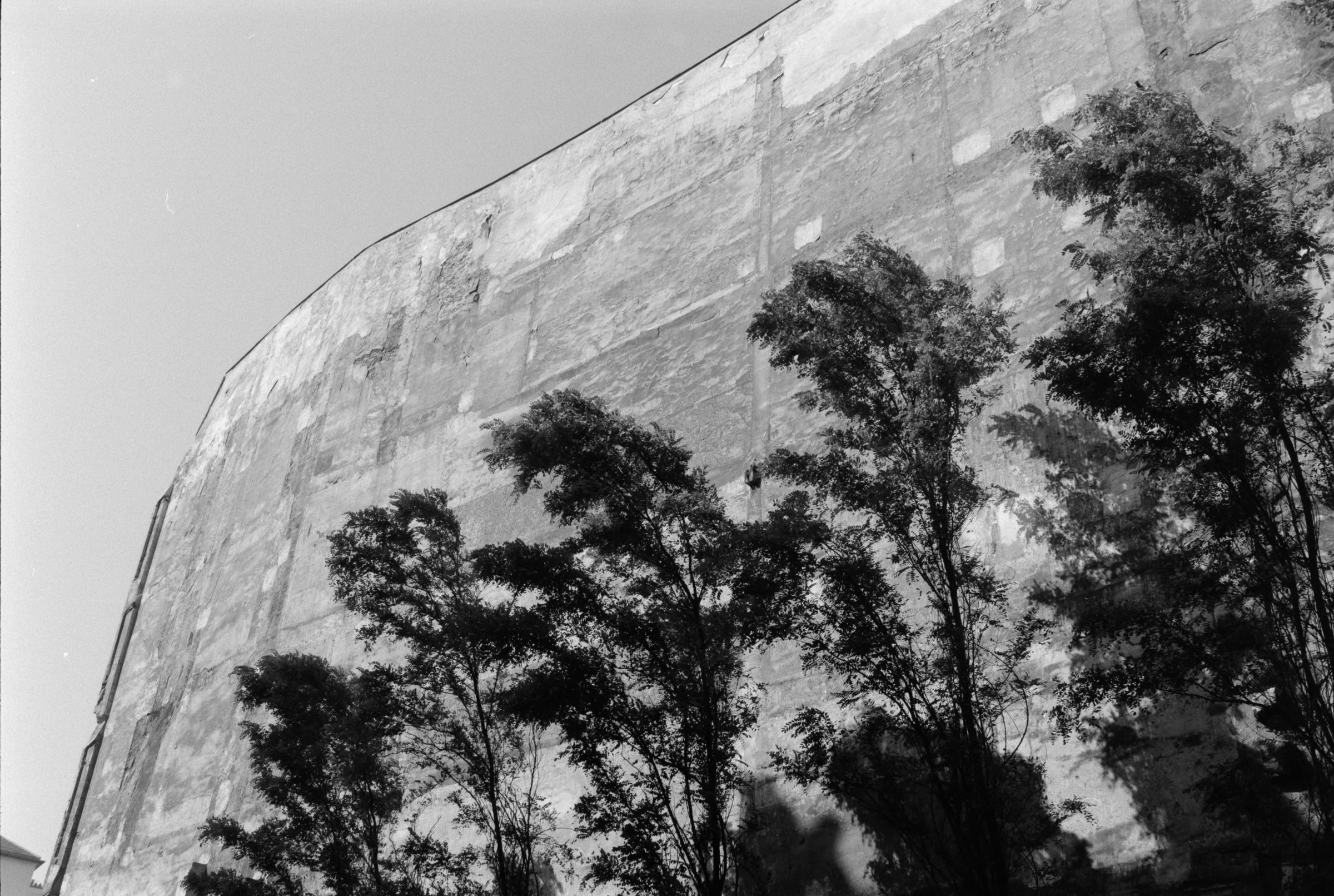 AHP F1990 09 001 sc240801 img11 NLP